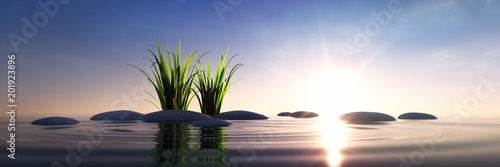 Photography Steine mit Gras im Meer bei Sonnenuntergang