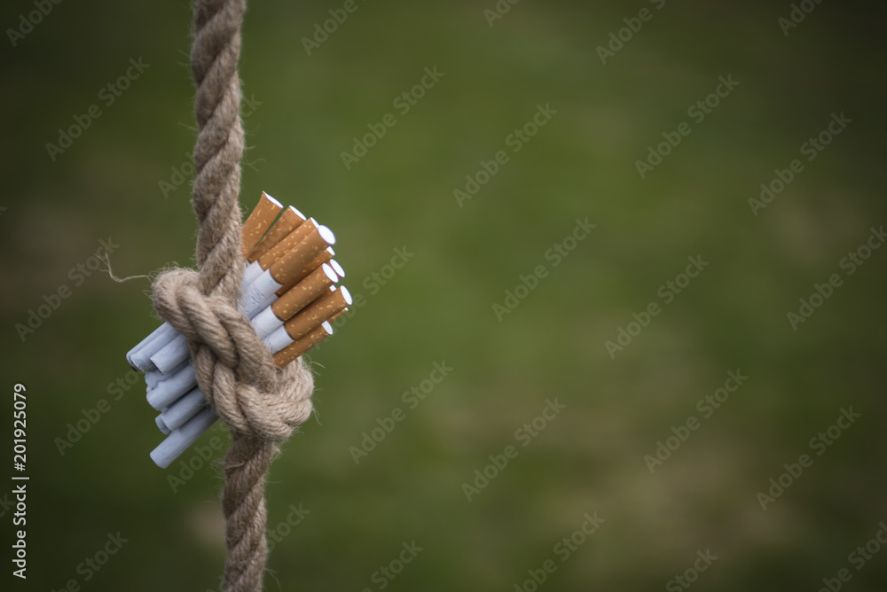 The Cardiovascular System: The Heart: Part A - Ppt Download Australia