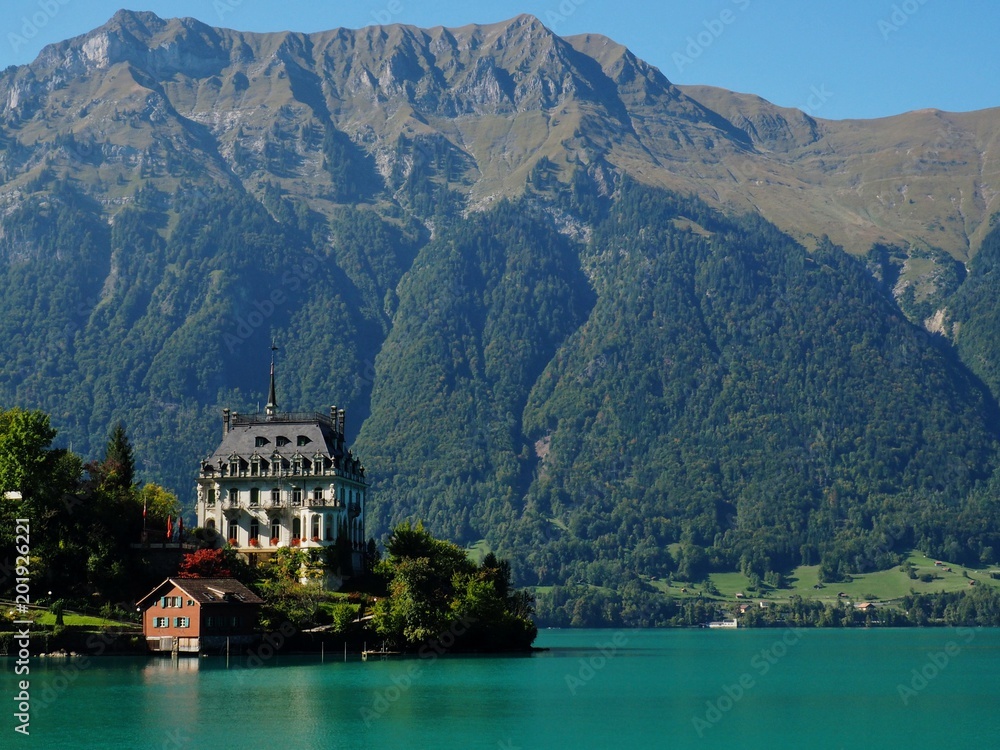 Fototapeta premium OLYMPUS DIGITAL CAMERA