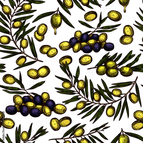 Sketch Hand Drawn Color Olive Oil Seamless Pattern Wiyh Oil Branches