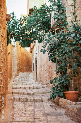 Fototapeta Naklejka Na Ścianę i Meble -  Narrow ancient streets of the old city Yaffo Israel in the magic sunset light. Vintage door with green plant. Tavel Meadle East