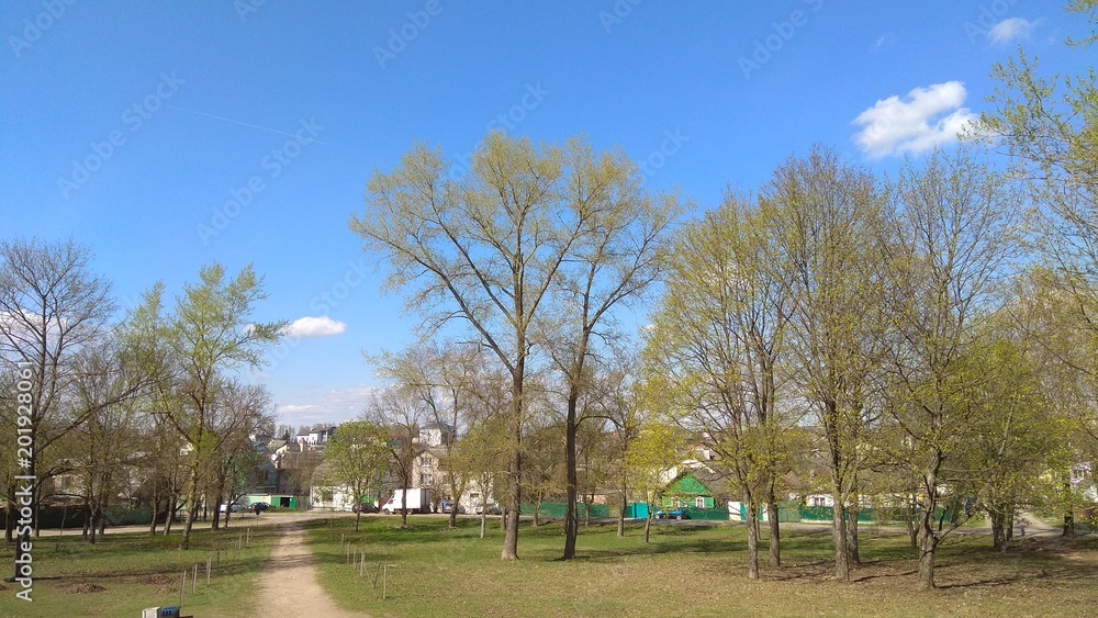 Early spring park in Minsk horizontal