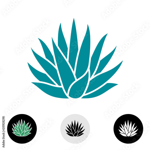 Blue agave plant vector silhouette.
