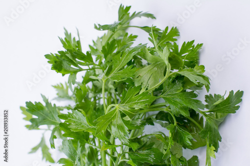 Fresh parsley leaves close up. Spicy nutritious plant. Parsley benefits concept.