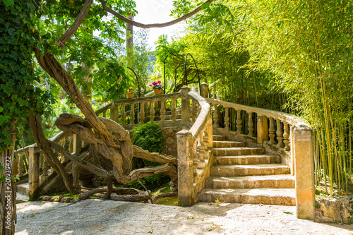 Alfabia nature relaxation park on Tramuntana mountain, Mallorca, Balearic Islands, Spain. Travel vacation concept photo