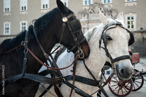 Salzburg, Altstadt, fremdenverkehr, sommer, historisch