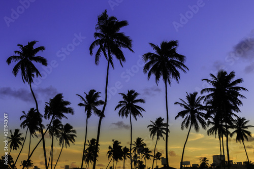 Por do sol na praia