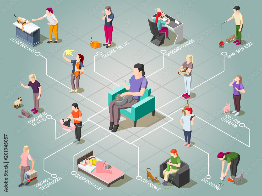 Cat Ordinary Life Isometric Flowchart Cat Ordinary Life Isometric Flowchart