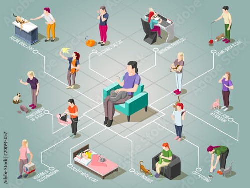 Cat Ordinary Life Isometric Flowchart