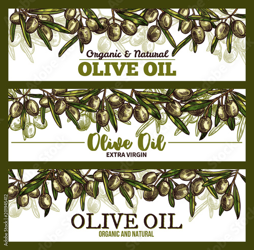 Vector extra vrigin olive oil sketch banners