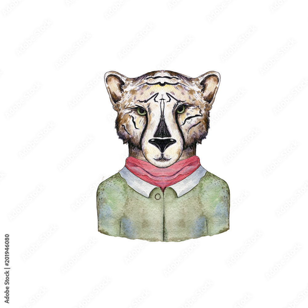 Watercolor wild cats. Tiger, leopard clip art, wild animal, drawing cheatah illustration, on white background Watercolor wild cats. Tiger, leopard clip art, wild animal, drawing cheatah illustration, on white background