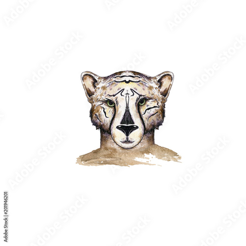 Canvas Print Watercolor wild cats