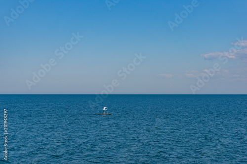 Person on paddle board, standing board in the ocean © Olga K