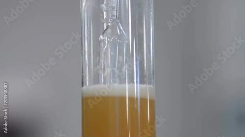 A spinning hydrometer used in homebrewing beer to measure density.