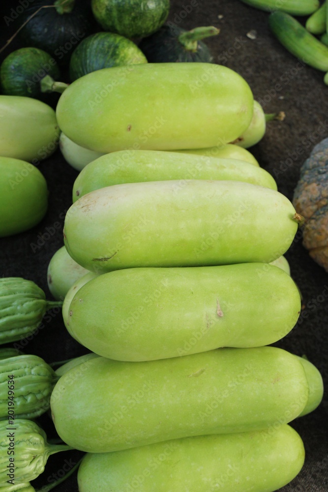 Winter melon for cooking in the market Winter melon for cooking in the market