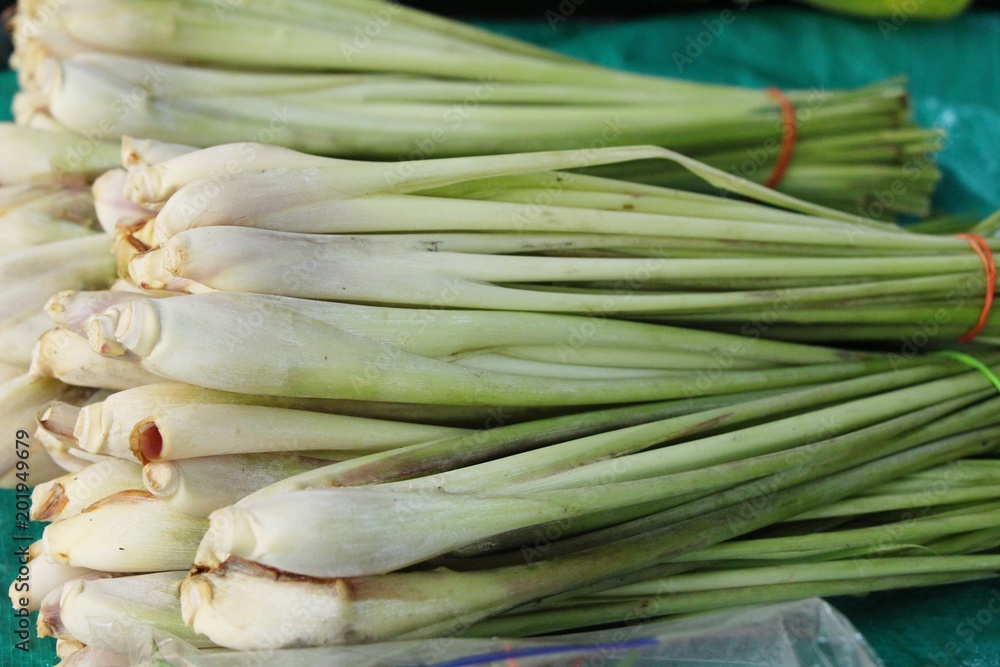 Fresh lemon grass in the market Fresh lemon grass in the market