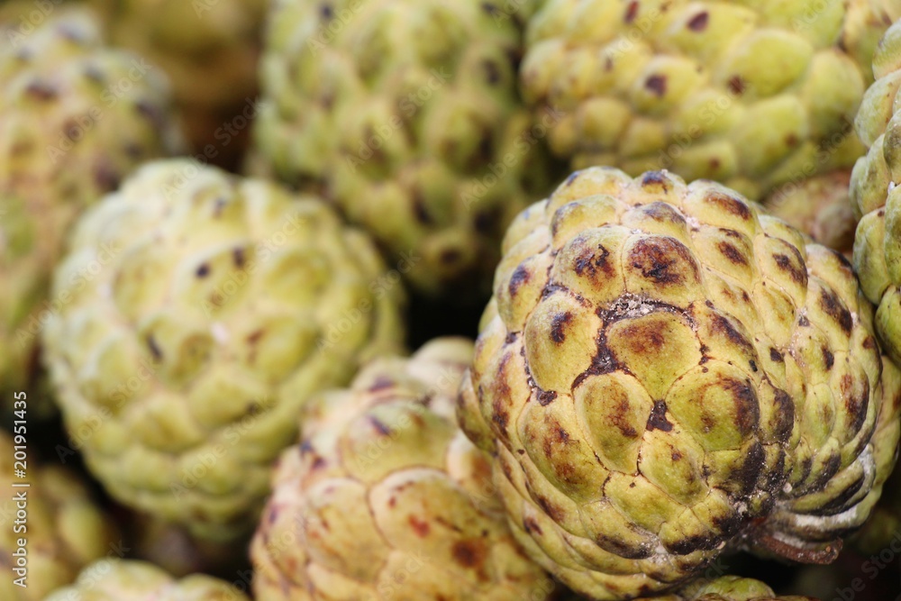 Fototapeta premium Sugar apple is delicious in the market