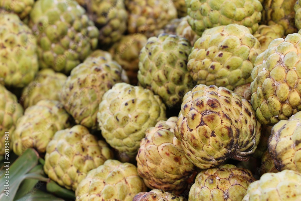 Fototapeta premium Sugar apple is delicious in the market