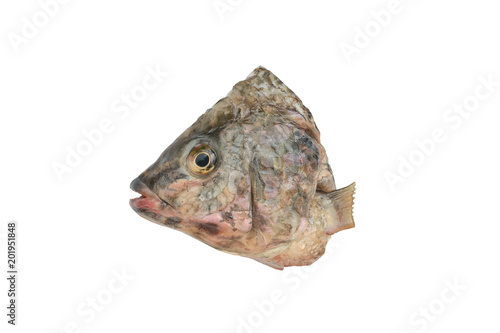 Piece of Sliced Tilapia fish on white background.