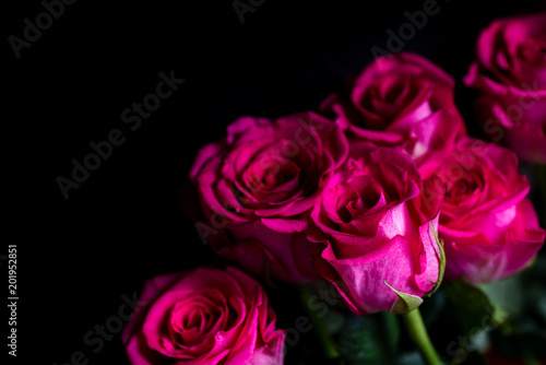 Beautiful pink roses bouquet  still life