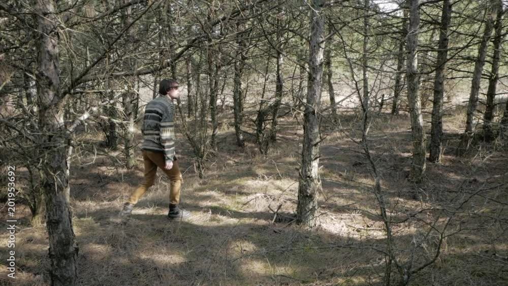 Young couple of hikers walking in pine forest in sunny day Young couple of hikers walking in pine forest in sunny day