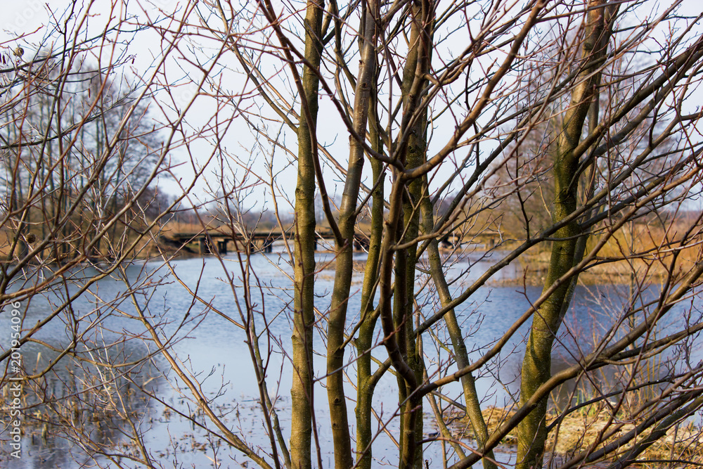 Branches of young trees without leaves on the background of the river. In the background there is a wooden bridge. Background is blurred. Early spring. Sunny day. Branches of young trees without leaves on the background of the river. In the background there is a wooden bridge. Background is blurred. Early spring. Sunny day.