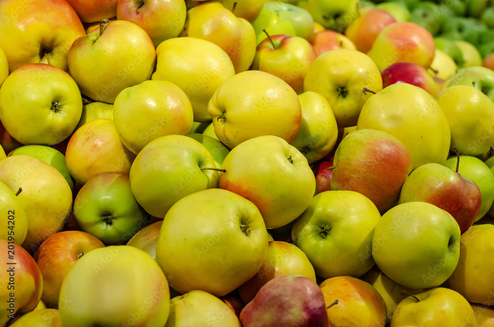 Many apples red yellow organic Many apples red yellow organic