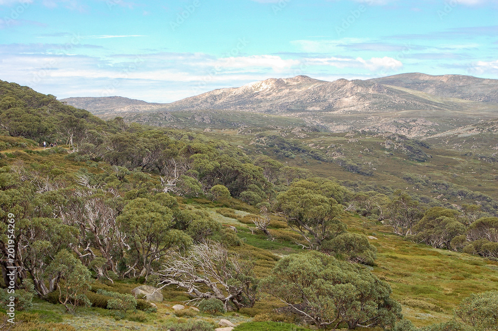 View from the Charlotte Pass of the Snowy Mountains in summer - New South Wales, Australia