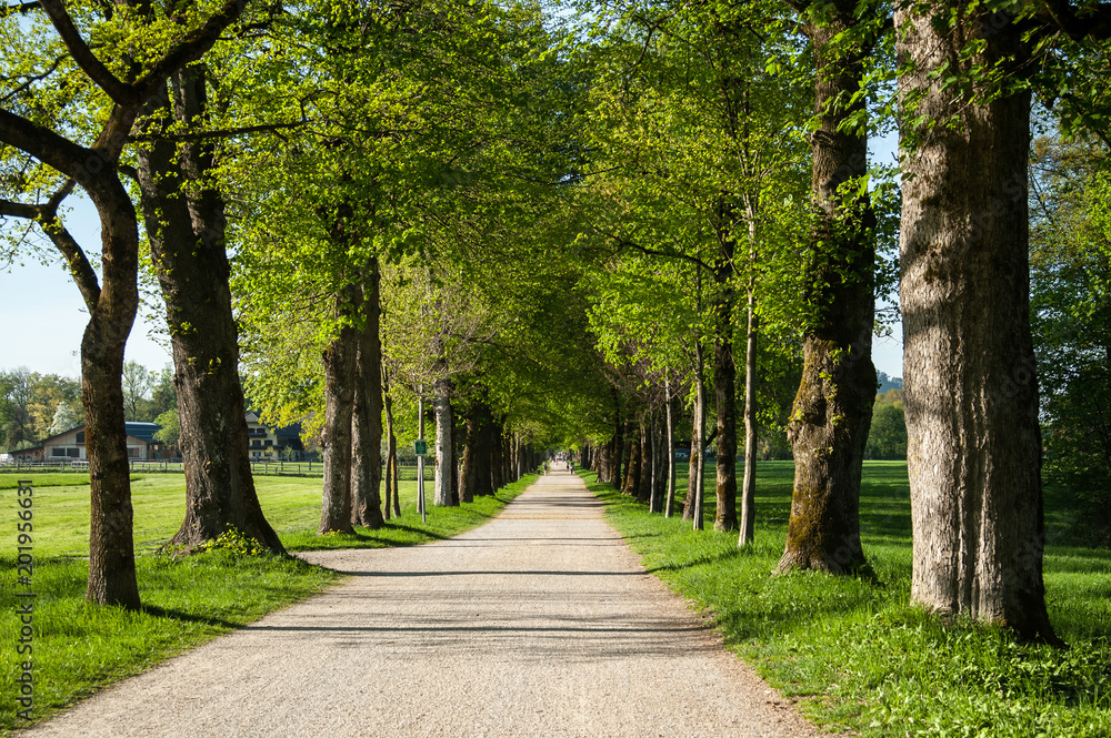 Fototapeta premium Salzburg, Allee, Sommer, Ausflug