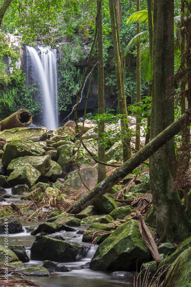 Obraz premium Curtis Falls located in Mount Tamborine during the day.
