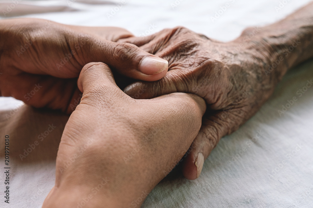 Fototapeta premium Hands of the old man and a young man on a white bed in a hospital.