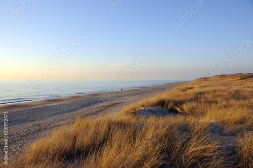 Strand 5 Km südlich von Westerland, Sylt, nordfriesische Insel, Schleswig Holstein, Deutschland, Europa