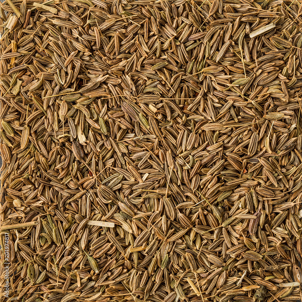Background Texture of Dried Cumin Seeds. top view Background Texture of Dried Cumin Seeds. top view