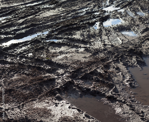 Mud and puddles on the dirt road