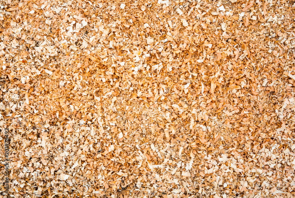 Wood sawdust Wood sawdust