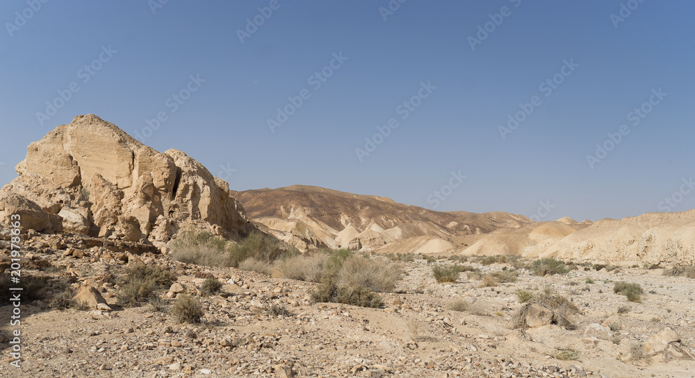 Desert trekking in Israel