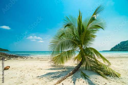 Fototapeta Naklejka Na Ścianę i Meble -  Beautiful nature tropical beach and sea with coconut palm tree on paradise island