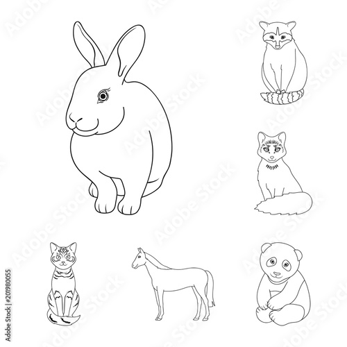 Realistic animals outline icons in set collection for design. Wild and domestic animals vector symbol stock web illustration.