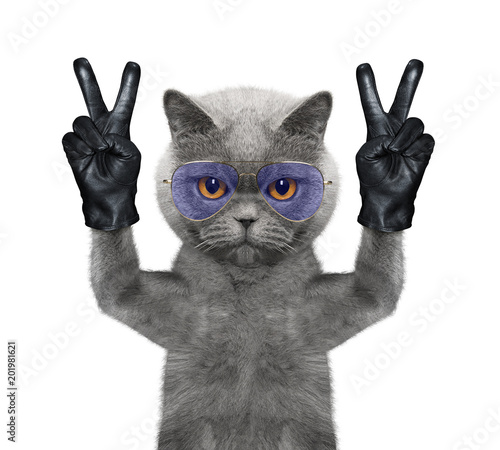 Fototapeta Naklejka Na Ścianę i Meble -  Cat with two victory fingers. Isolated on white