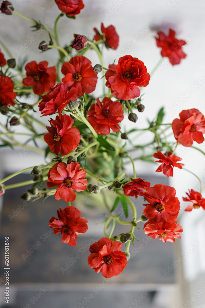 beautiful buttercups Bush flowers in a vase on a table . Bouquet of red flower. Decoration of home. Wallpaper and background. Vertical photo beautiful buttercups Bush flowers in a vase on a table . Bouquet of red flower. Decoration of home. Wallpaper and background. Vertical photo