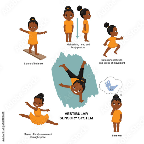 Illustration of human senses