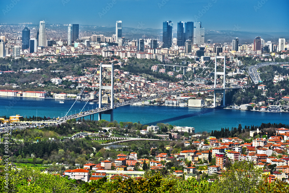Panoramic view of Istanbul with the Bosphorus Bridge