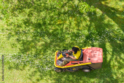 View from above of a black male gardener mowing the lawn dotted with daisies on a riding mower in the shade of a tree.