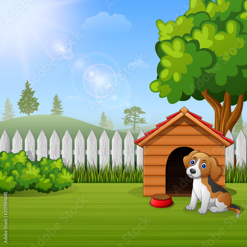 Cute dog sitting in front of a kennel in a garden