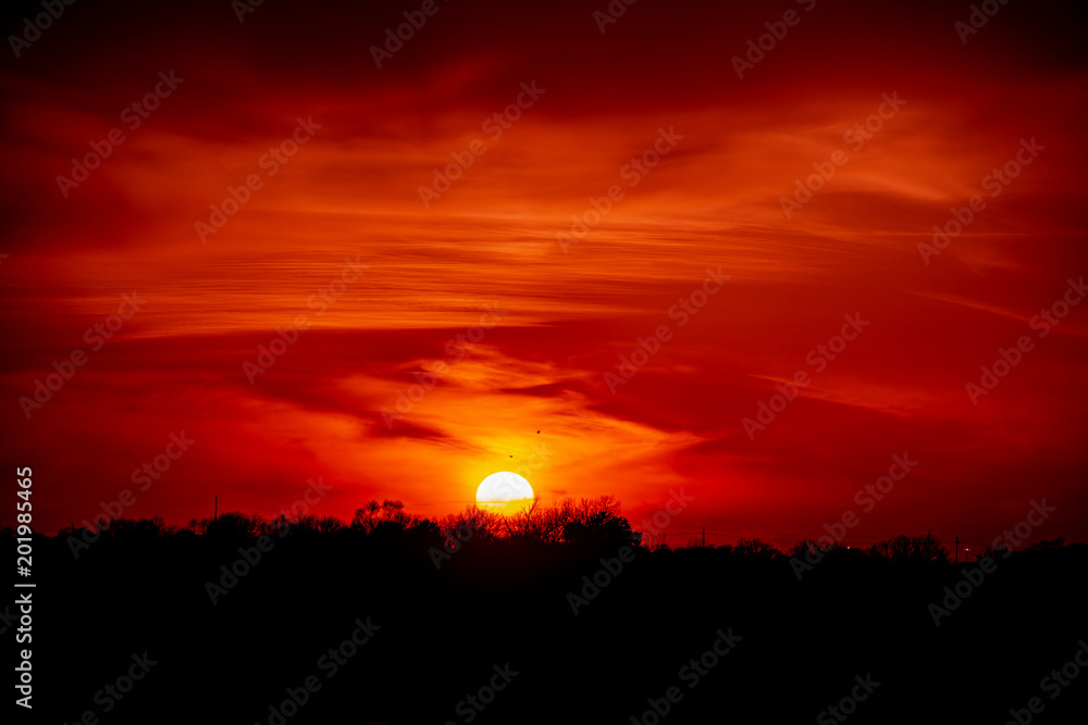 Fototapeta premium nature