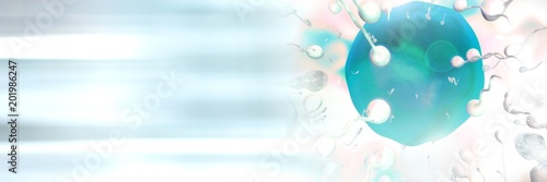 Fotografie Sperm reproduction ovary for family planning