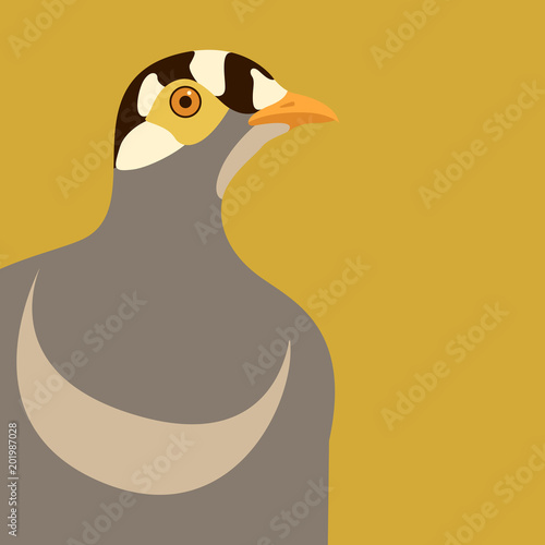  killdeer  vector illustration flat style profile side