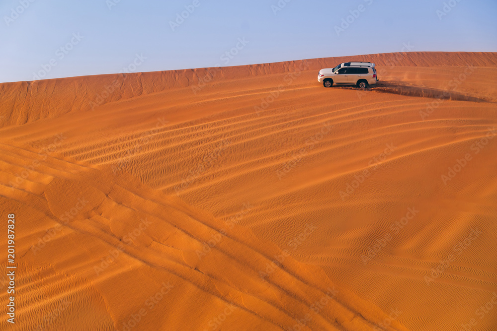 Obraz premium Desert dune bashing
