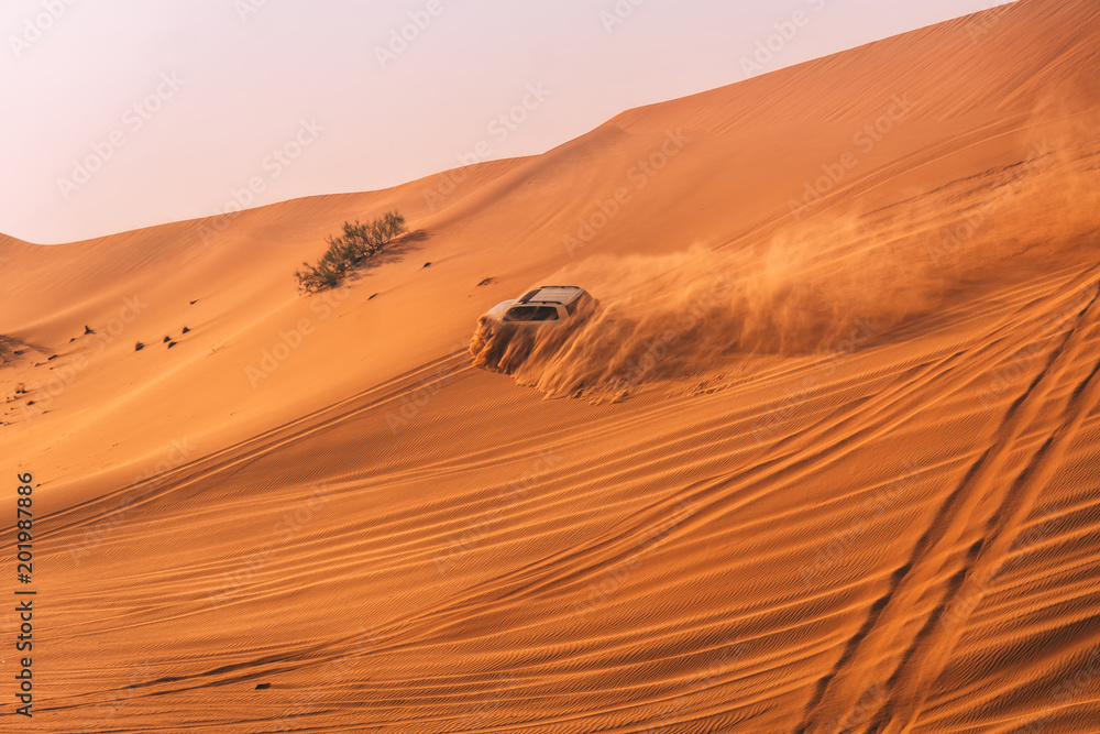 Obraz premium Desert dune bashing