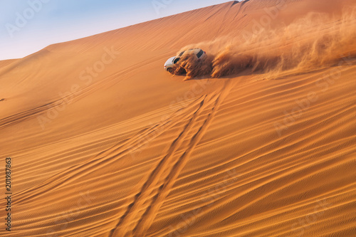 Desert dune bashing © sabino.parente